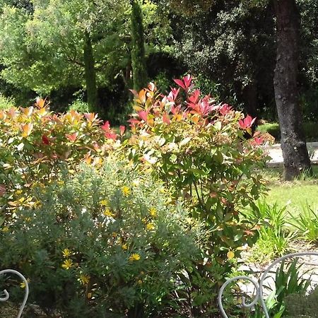 La Louvetiere Hotell Roquefort-les-Pins Eksteriør bilde